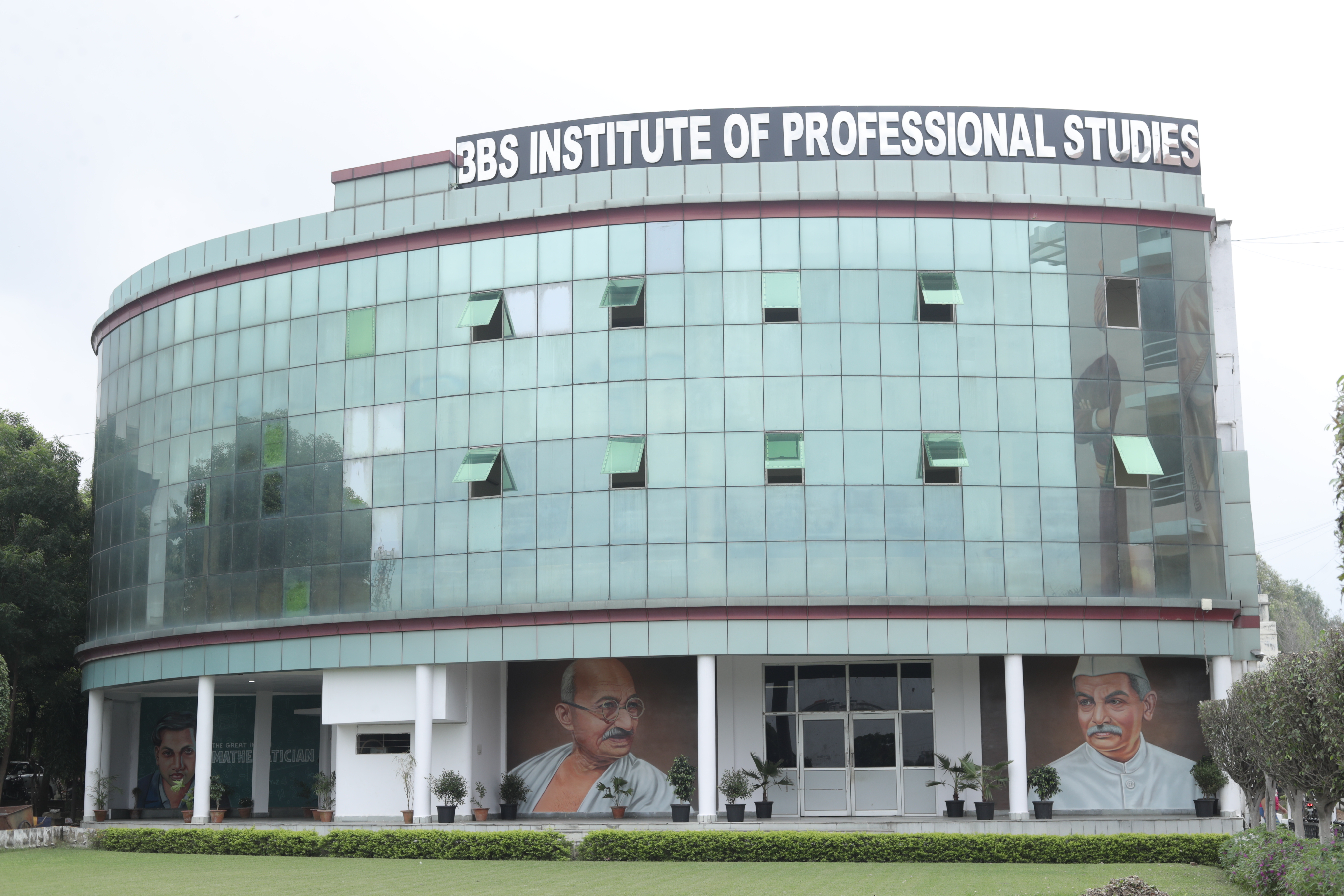 Professional Studies