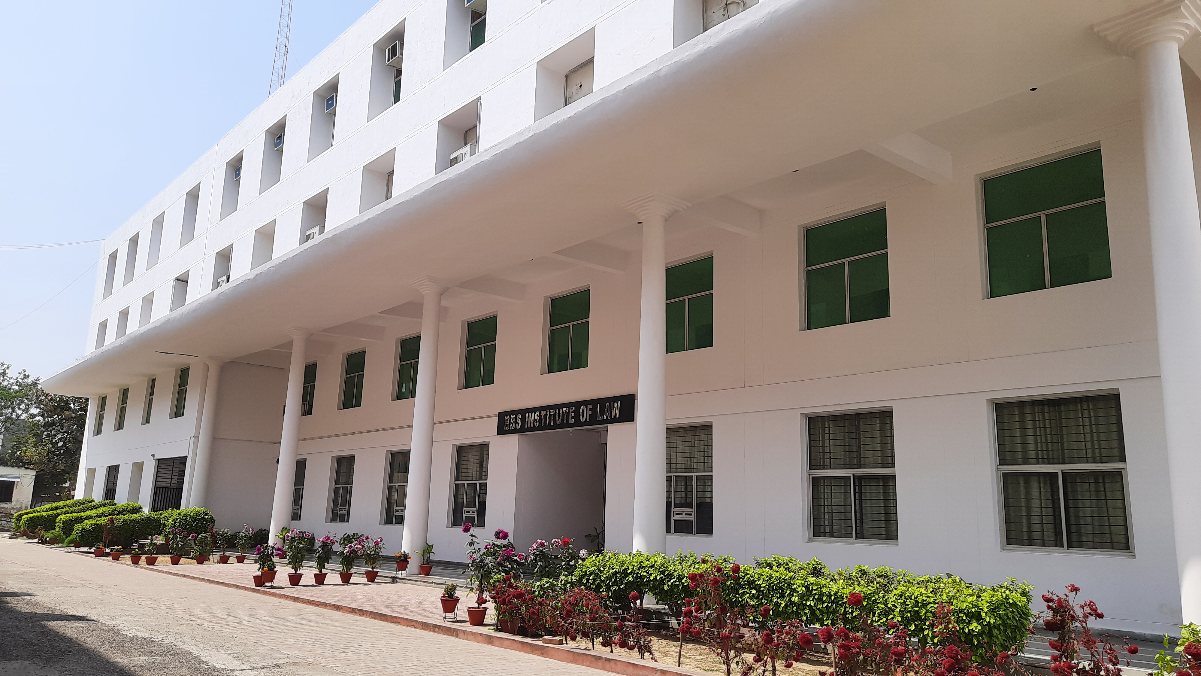Institute of Law